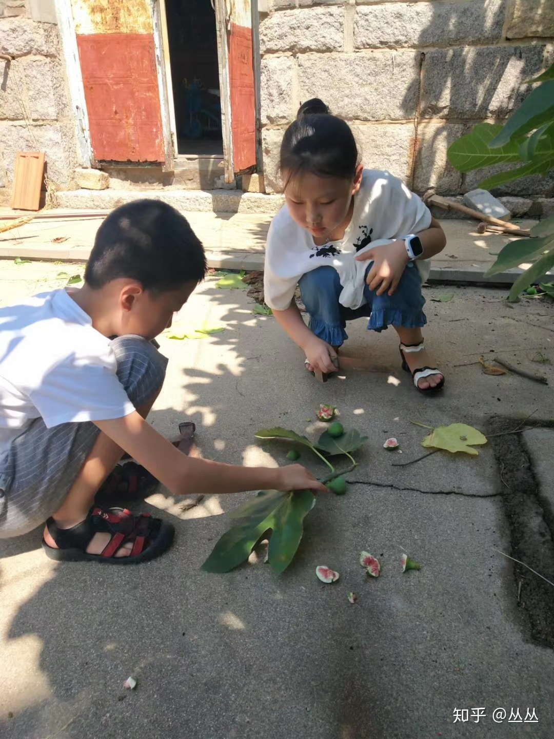 又是柿子熟時(shí)隨筆