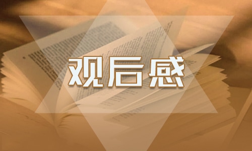 關(guān)于最新攀登者觀后感