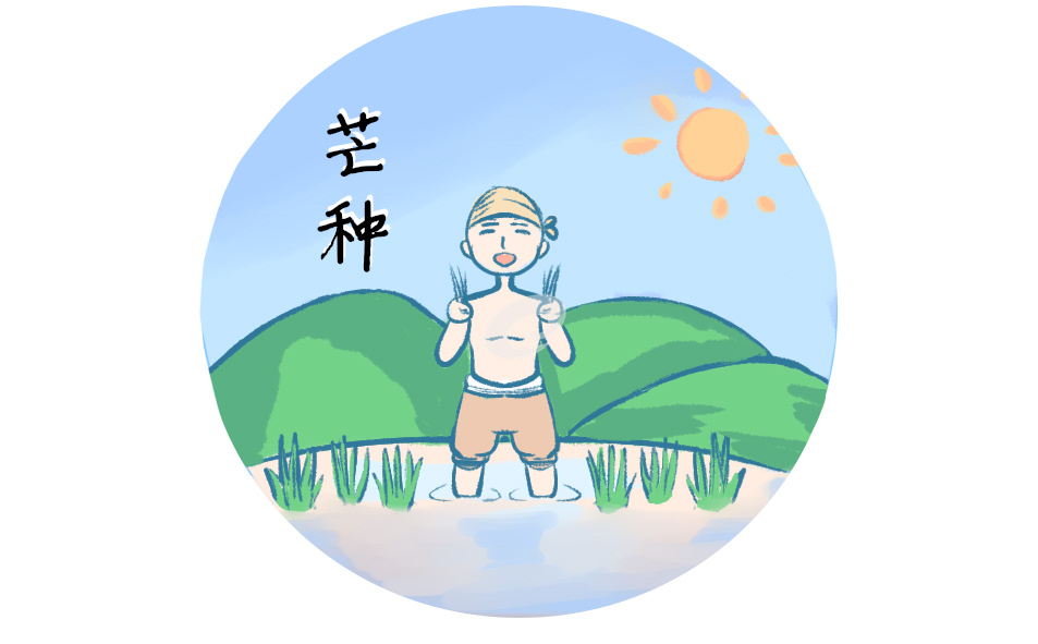 芒種節(jié)氣的傳統(tǒng)美食及養(yǎng)生方法