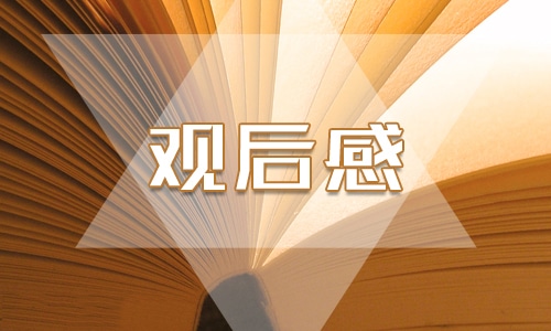 2022《狙擊手》電影優(yōu)秀觀后感8篇