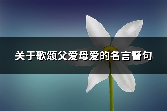 關于歌頌父愛母愛的名言警句(熱門64句)